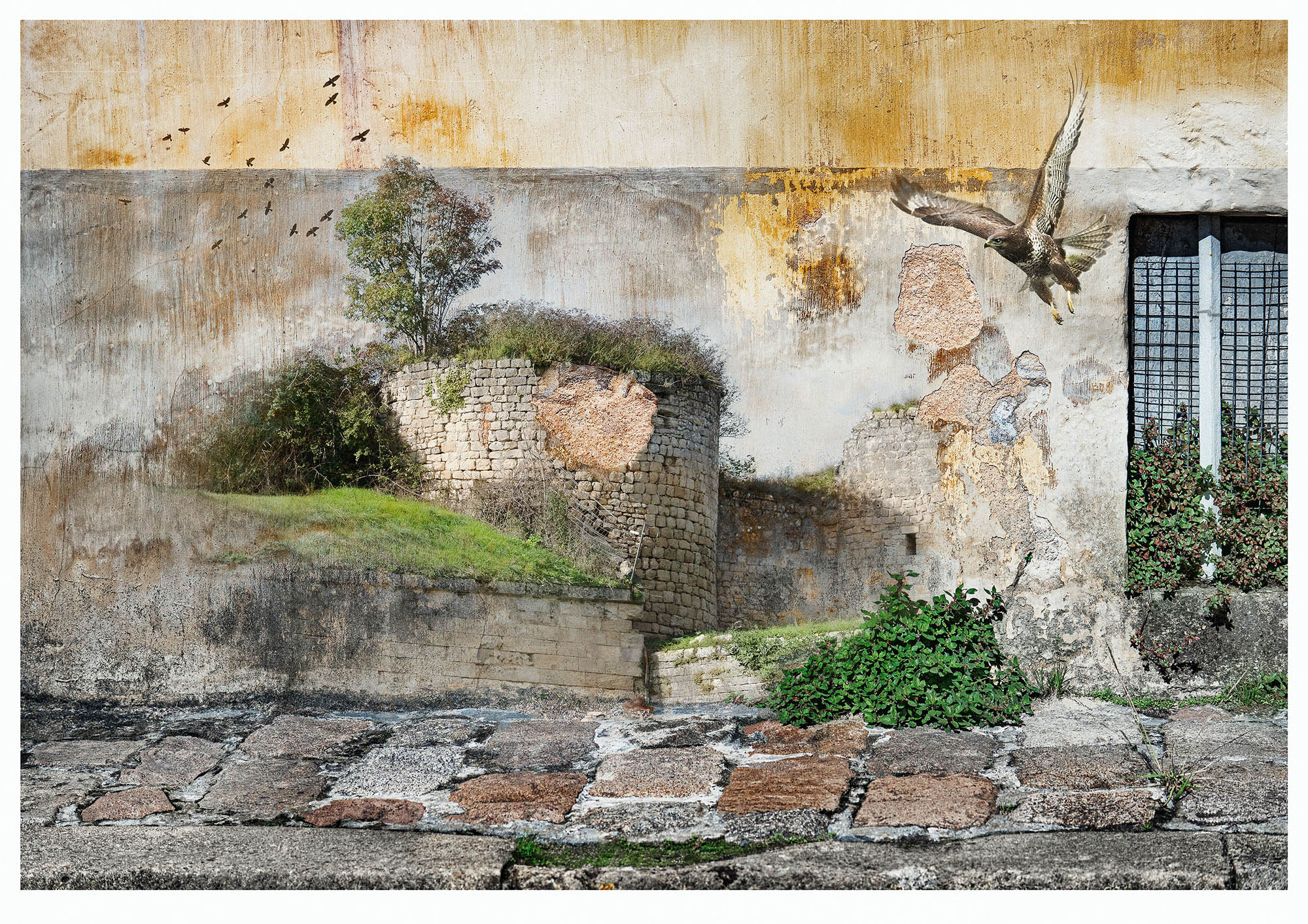 Composite photograph of distressed wall, trees, a deer all forming a surrreal landscape